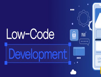 Why is Low-code Platform a bad choice in Development?
