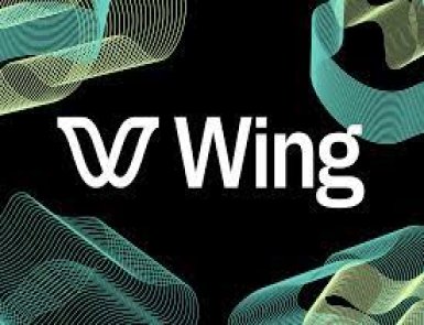 Winglang: A Quick Guide to its Features